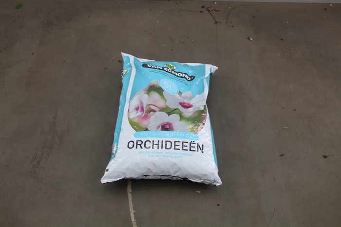 <h4>ORCHIDE GROND</h4>