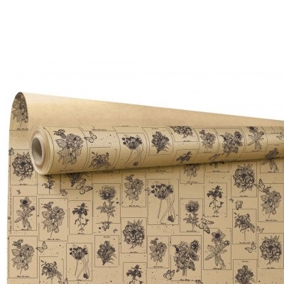 <h4>Paper Roll 80cm 40m Curiosity</h4>