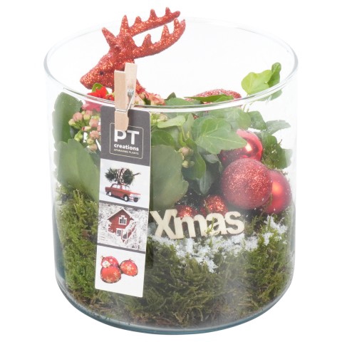 <h4>PTCHR4216 Arrangementen Kerst</h4>