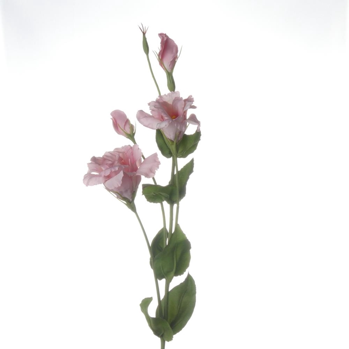 <h4>Af Lisianthus L93cm Roze</h4>