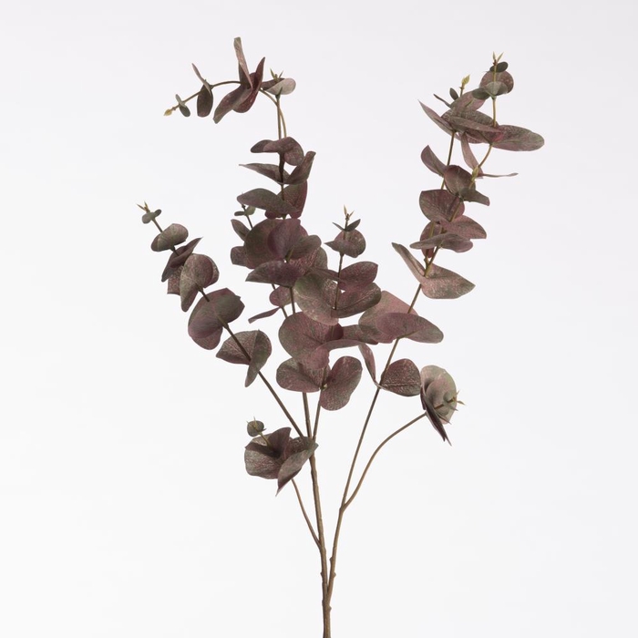 <h4>Af Eucalyptus L99cm Red</h4>