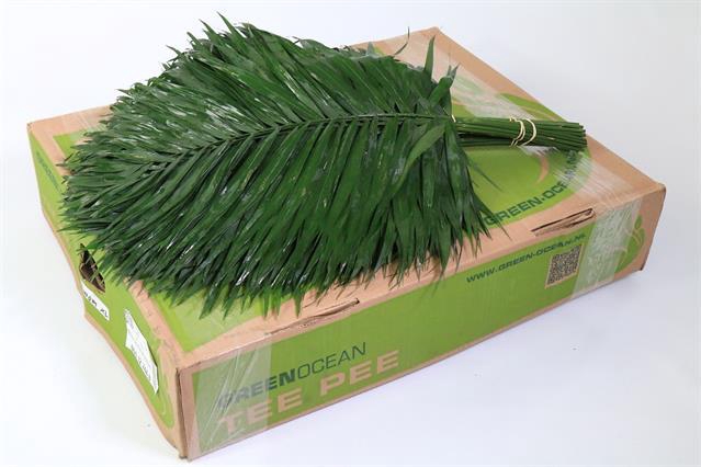 <h4>Leaf chico teepee Green Ocean</h4>