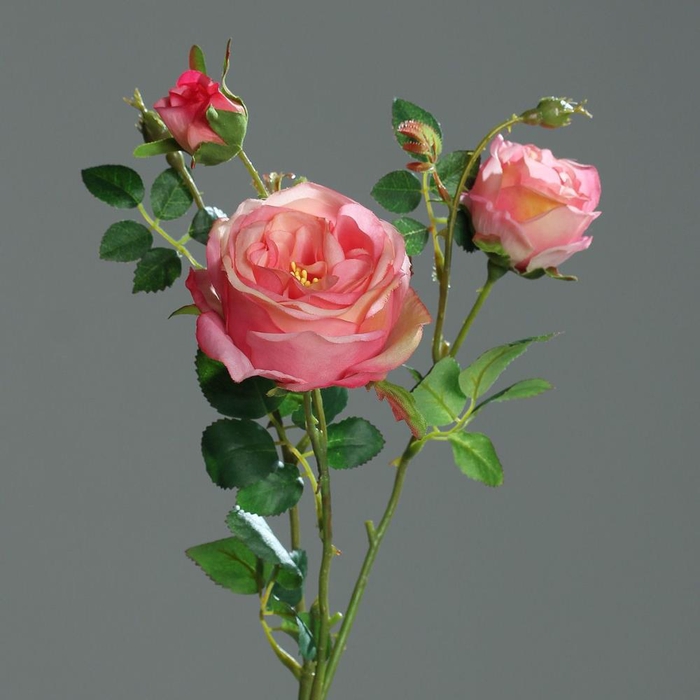 Mini-fleurs en pot kraft - H 17 cm - Blanc, Rose