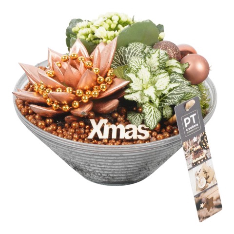 <h4>PTCHB6007 Arrangementen Kerst</h4>