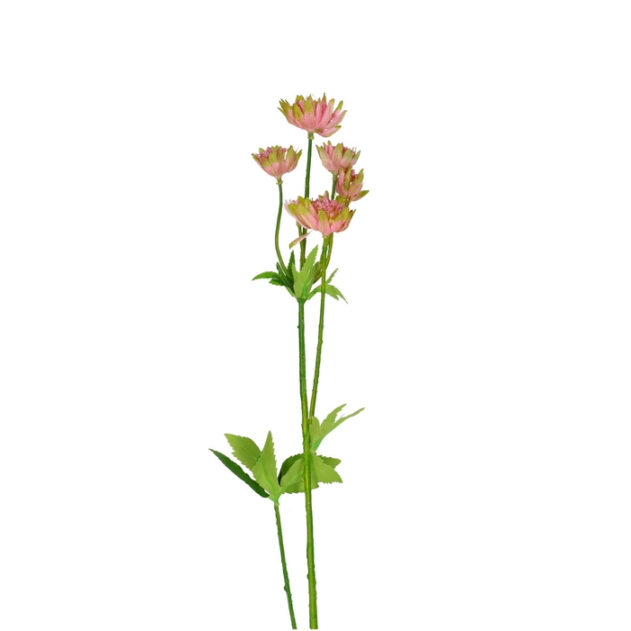 <h4>Artificial flowers Astrantia 64cm</h4>