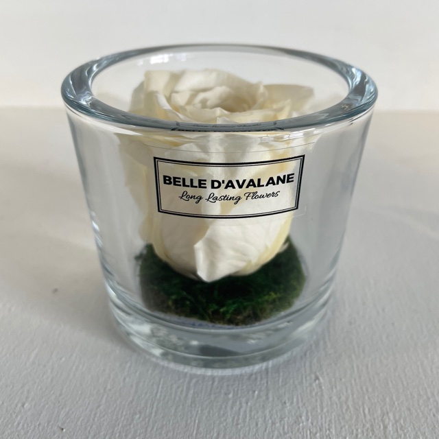 <h4>Cilinder d9x8h champagne roos glas</h4>