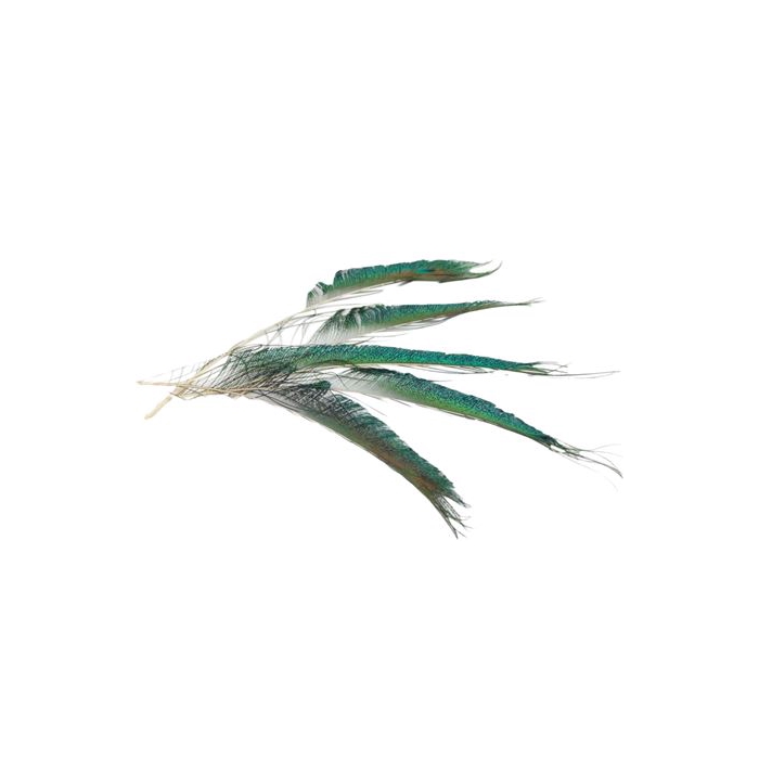 <h4>Basic Feather Peacock Sword 3pc L25-30</h4>