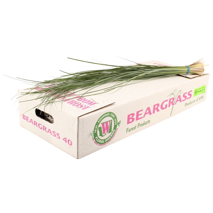 <h4>Beargrass Special</h4>