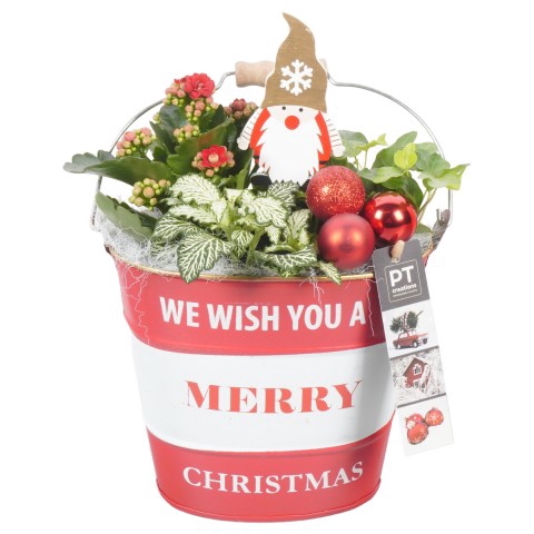 <h4>PTCHR4258 Arrangementen Kerst</h4>