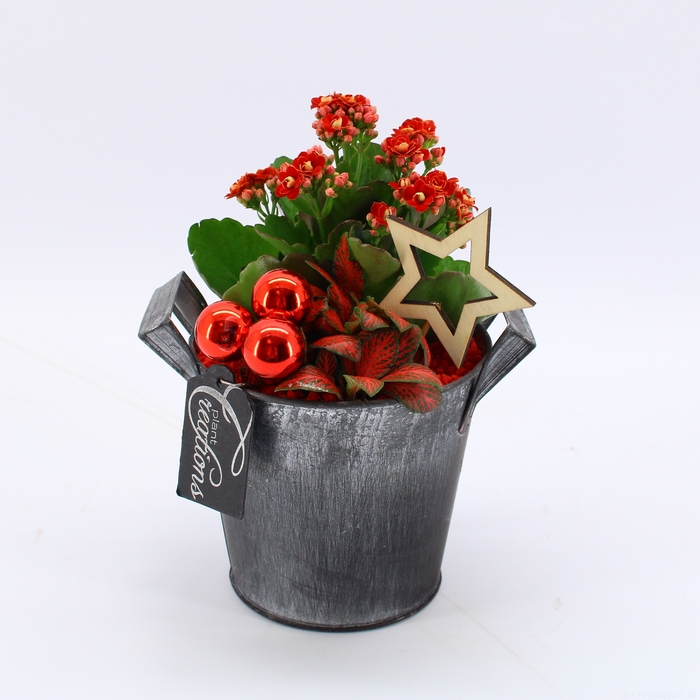 <h4>BAXM-2312R Xmas Fundamentals</h4>