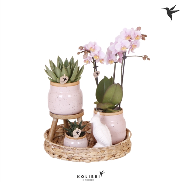<h4>Kolibri Green up your home gift set Romantic</h4>