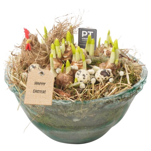 <h4>PTNGP1936 Arrangementen Narcissus (Other Grp) 'Tête-à-Tête'</h4>