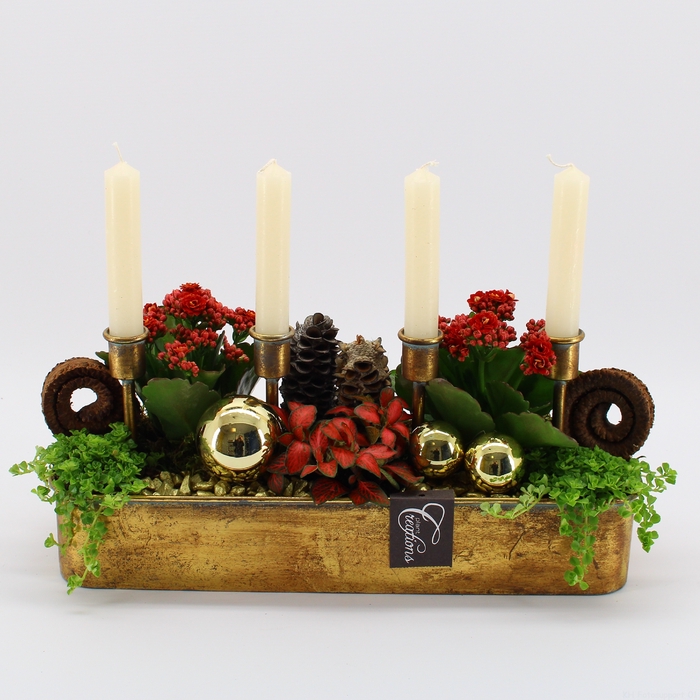 <h4>ADV-2303R Advent creatie</h4>