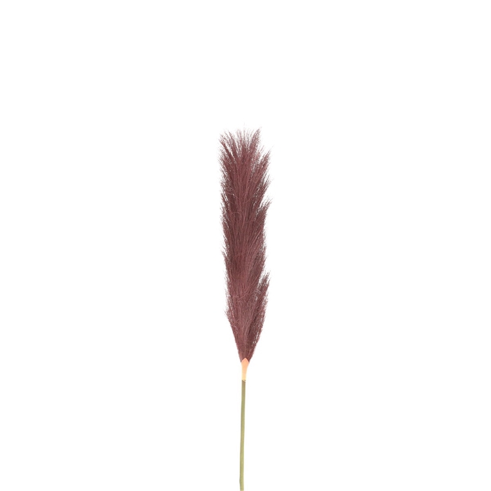 <h4>Silk Plum grass 104cm</h4>