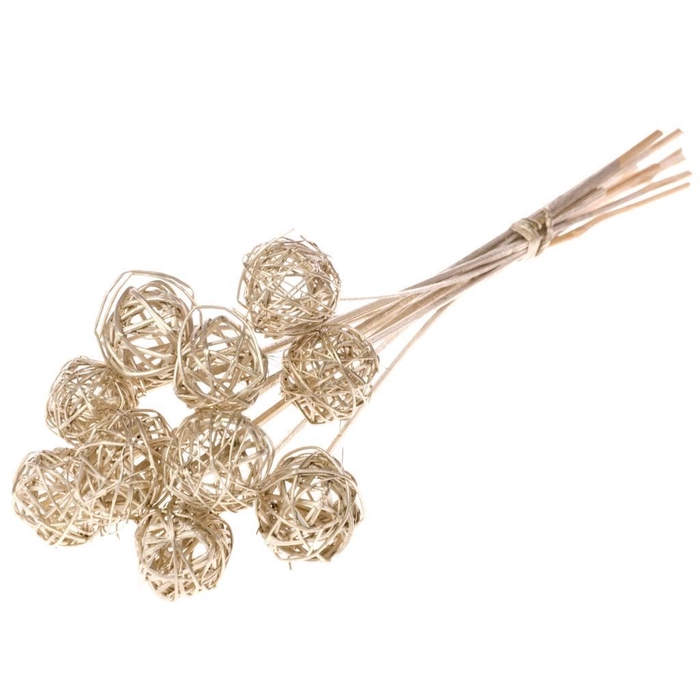 <h4>Brunch b 5 o/s sb ch gold</h4>