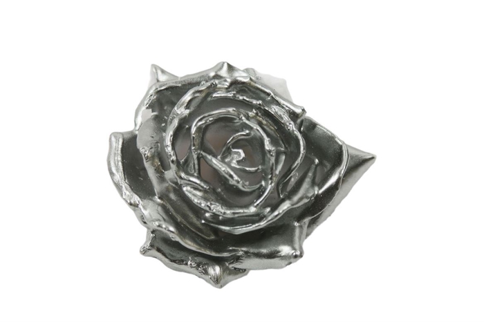 <h4>Wax Rose D10 Metallic Grey</h4>