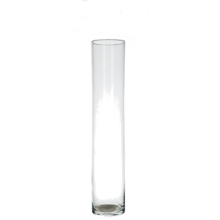 <h4>Glas Cilinder d10*50cm</h4>