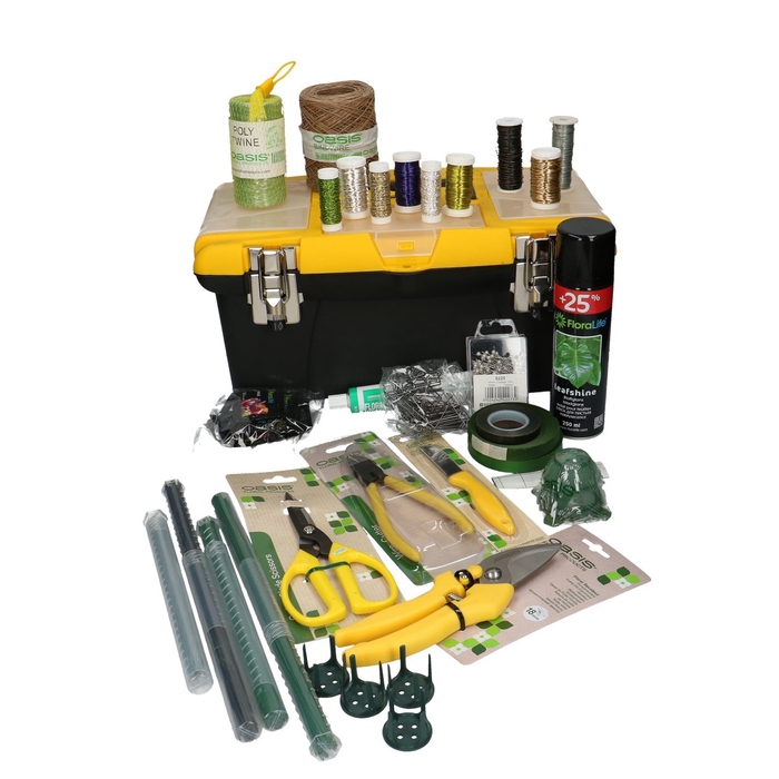 <h4>Floristry Toolbox Oasis+content</h4>