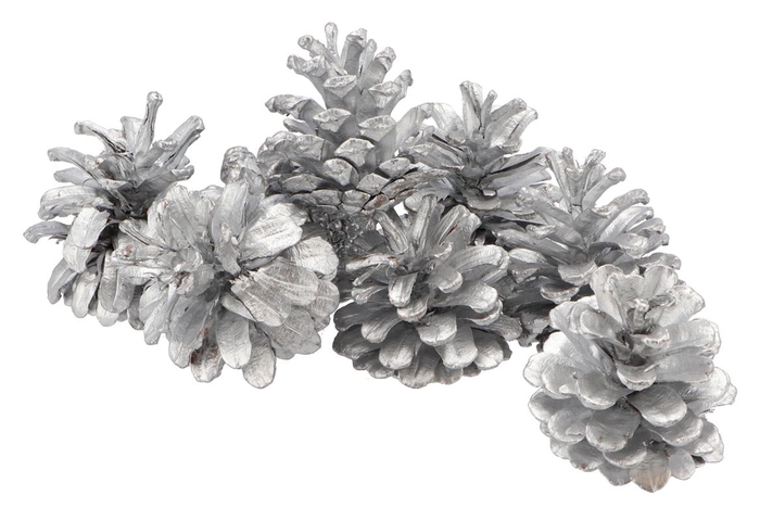 <h4>Natuur oostenrijkers zilver in netje p/20</h4>
