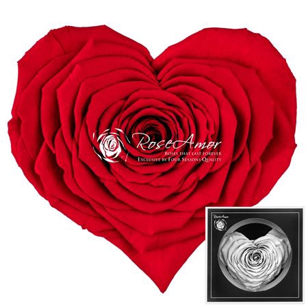 <h4>Pr 1.1 Corazon Red02</h4>