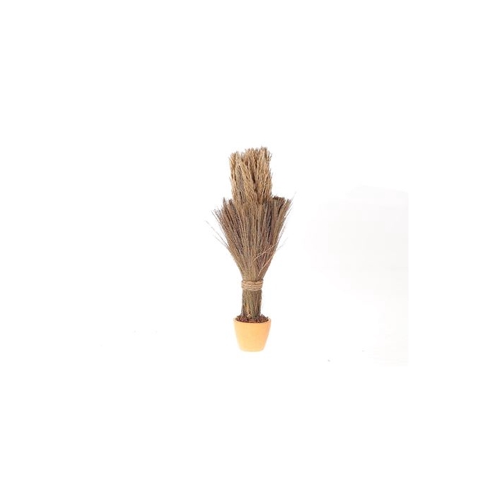 <h4>Arr. Pot Long Broom Nanal Grass D12.0h53.0</h4>