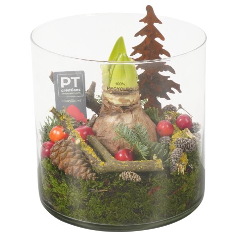 <h4>PTACH7989 Arrangementen Kerst</h4>