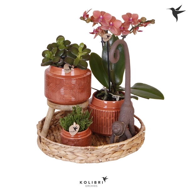 <h4>Kolibri Green up your home gift set Ethnic</h4>