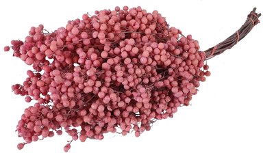 <h4>Schinus mollis paint frosted pink</h4>