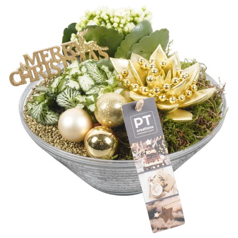 <h4>PTCHG5107 Arrangementen Kerst</h4>