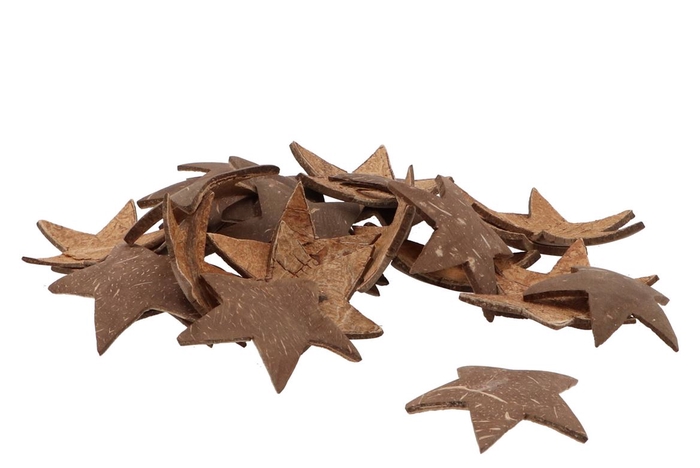 <h4>Nature coconut shell star 5cm set of 50</h4>
