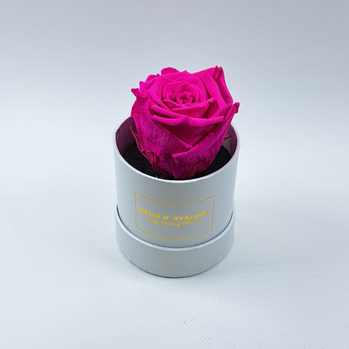 <h4>Box rd 8cm wit-fuchsia</h4>