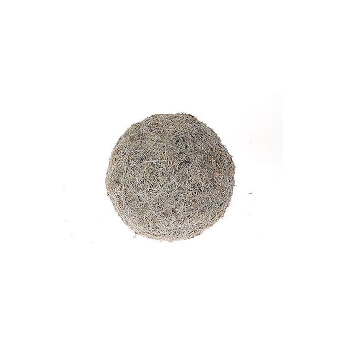 <h4>Ball Lichen Moss D30.0</h4>