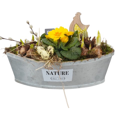 <h4>CC2348 Arrangementen kamerplanten</h4>