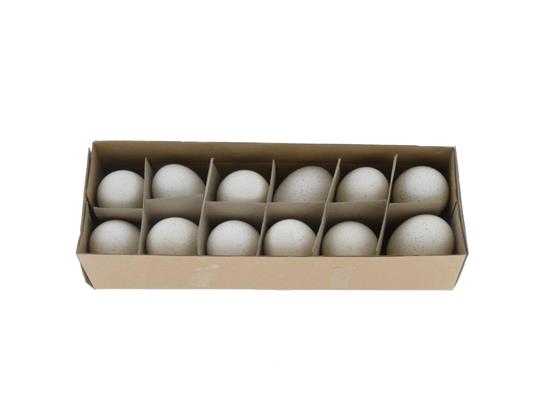 <h4>Egg Turkey White Box (12pcs)</h4>