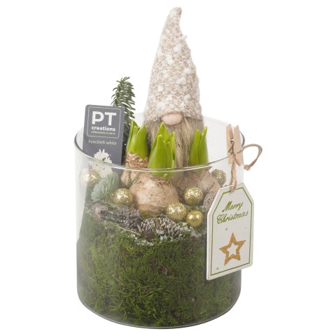 <h4>PTHCC8698 Arrangementen Kerst</h4>
