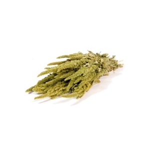 .Amaranthus nat.green