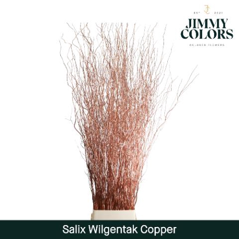 <h4>Salix paint copper</h4>