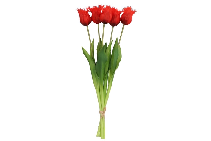 <h4>Silk Tulip 5x Red 46cm</h4>
