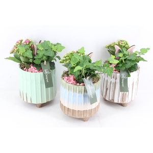 arr2 MB3305 - Ker. ribbelpot pootjes x4