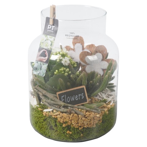 <h4>PTIG8507 Arrangementen kamerplanten</h4>