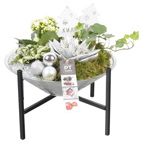 <h4>PTCHS7334 Arrangementen Kerst</h4>