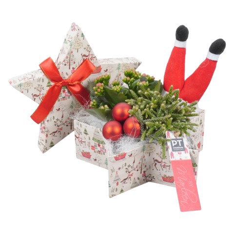 <h4>BMXM3434 Arrangementen Kerst</h4>