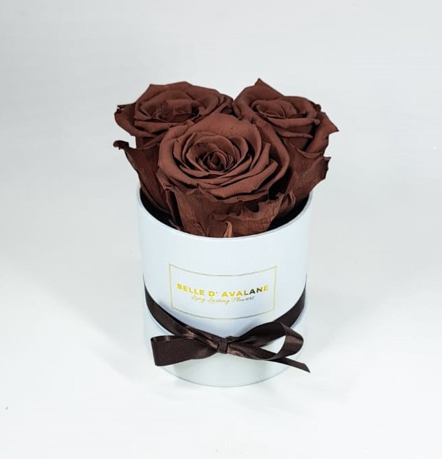 <h4>Box rd 10cm wit-grape(grp02)</h4>