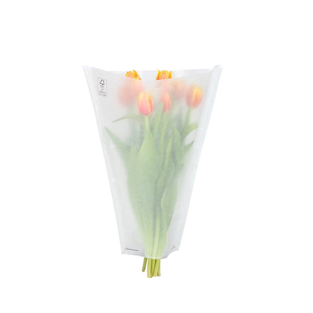 <h4>Hzn 40x30x12cm 40gr Glassine Paper</h4>