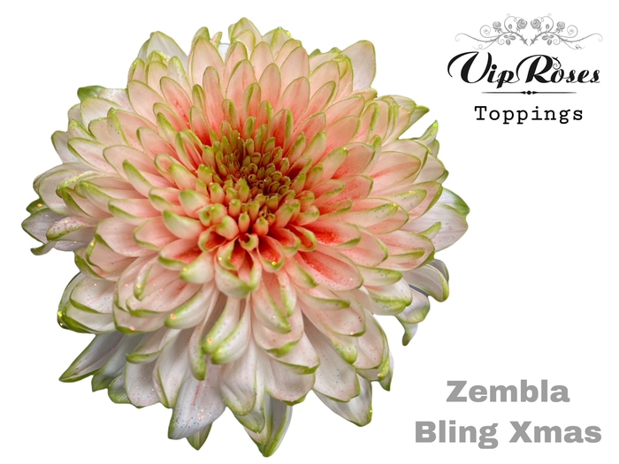 <h4>Chr G Vip Zembla Bling Xmas</h4>