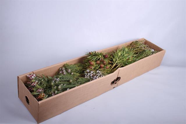 <h4>Cape green floristpack selection</h4>