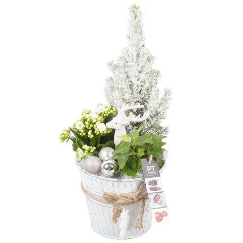 <h4>PTCHS7368 Arrangementen Kerst</h4>