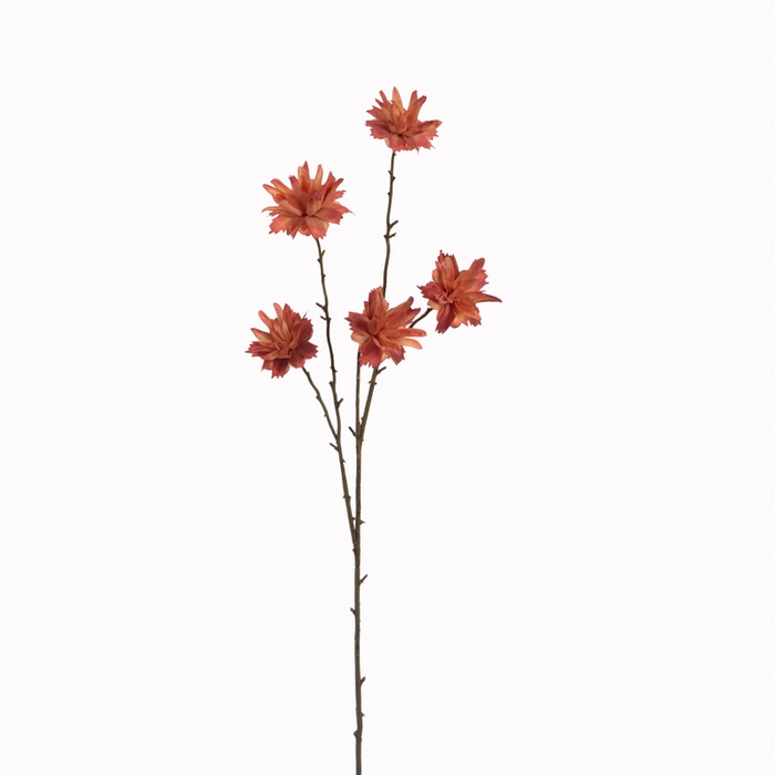 <h4>Af Zinnia L68cm Peach</h4>