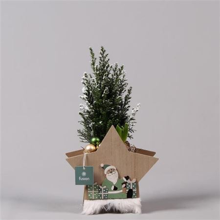 <h4>Opm Fc-20.1609 Kerst Hout Ster</h4>