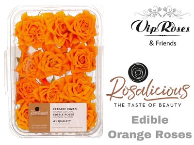 <h4>Edible rosa rosalicious orange</h4>